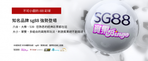 大老爺91